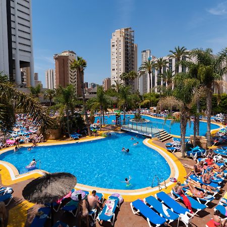 Medplaya Hotel Flamingo Oasis Benidorm Dış mekan fotoğraf