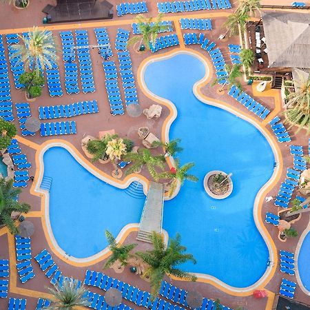 Medplaya Hotel Flamingo Oasis Benidorm Dış mekan fotoğraf