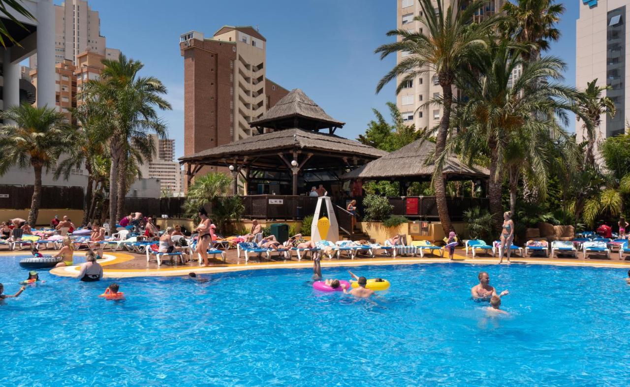 Medplaya Hotel Flamingo Oasis Benidorm Dış mekan fotoğraf